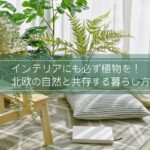 インテリアにも必ず植物を！北欧の自然と共存する暮らし方