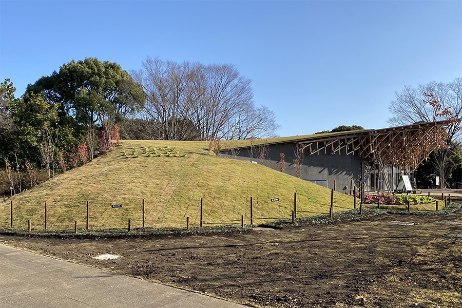 公園と建築物が調和した、オカカフェ外観